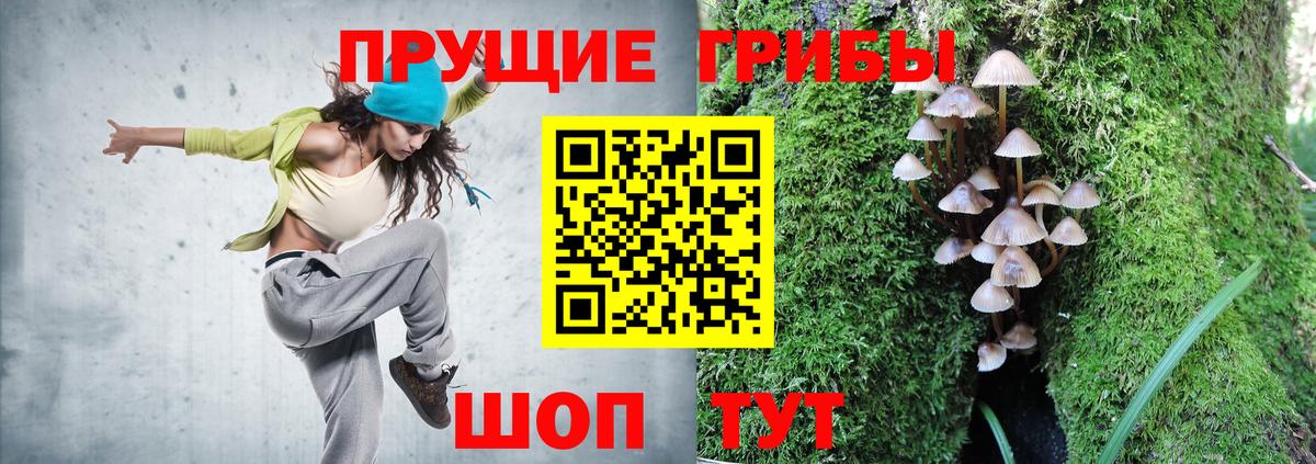Дивногорск  Галлюциногенные грибы мицелий  Вход с VPN  Галлюциногенные грибы ЛСД 